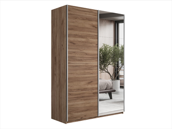Шкаф-купе Прайм Люкс 2-х дверный (ЛДСП, зеркало)