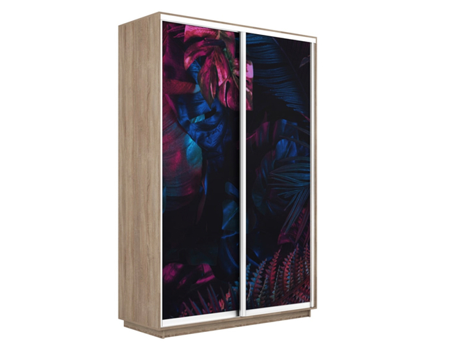 Шкаф-купе Экспресс 2-х дверный (Фото №1004 Джунгли темные), Сонома